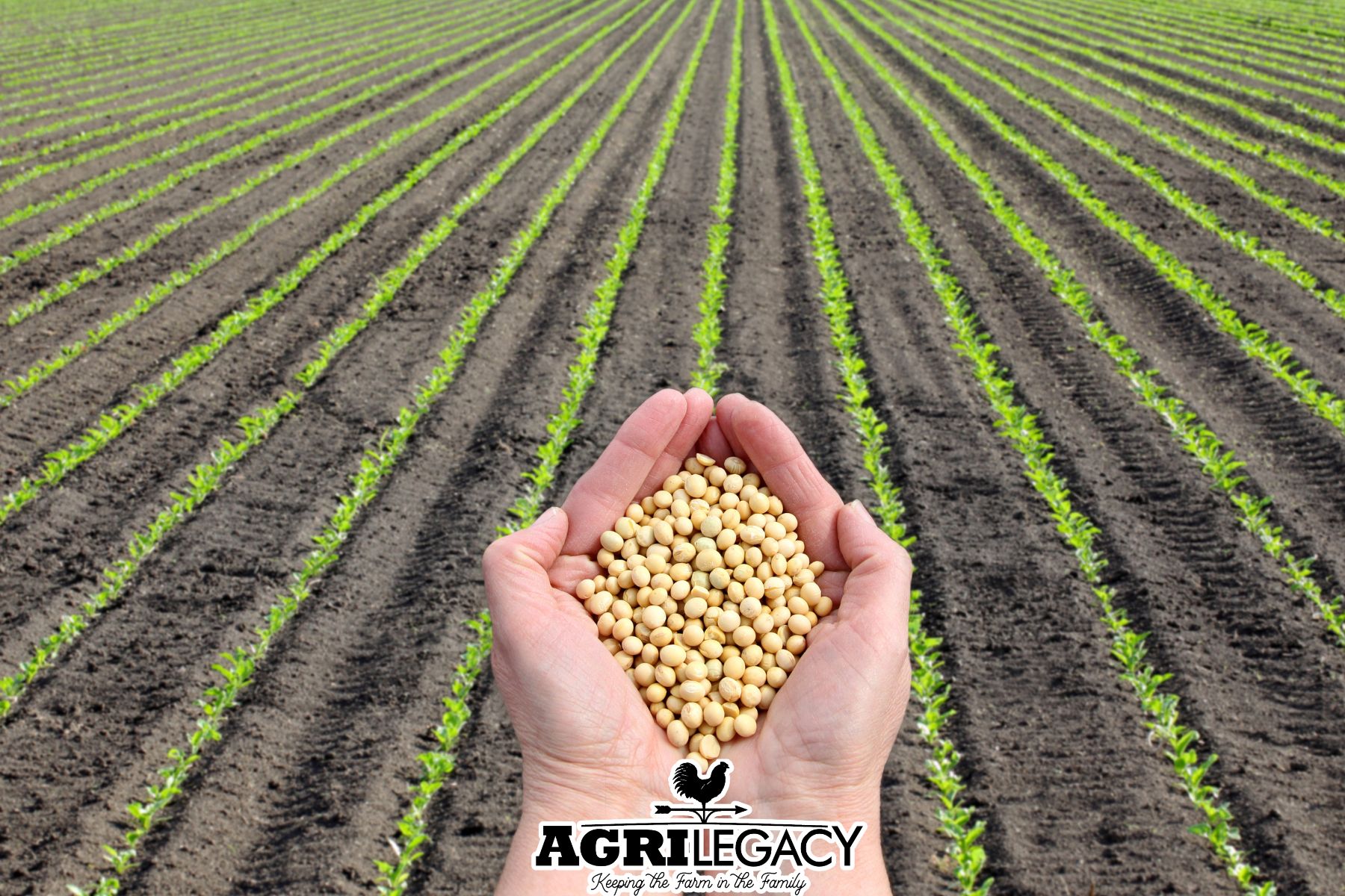 Grow On: How The Family Farm Lives On - AgriLegacy